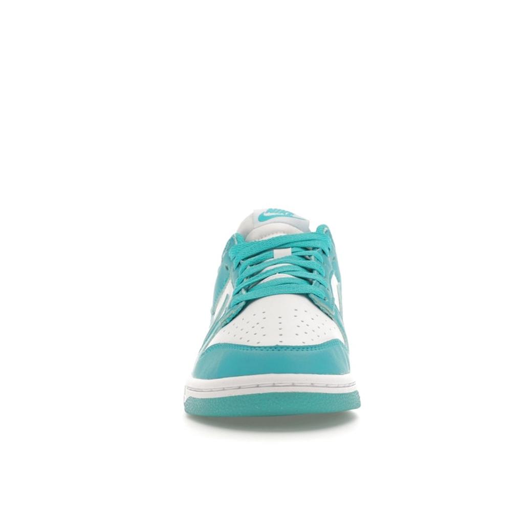 Nike Dámské tenisky Dunk Low Next Nature Dusty Cactus Modrá Bílá DD1873-105