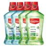 mint 2-pack + green tea 2-pack (500ml each)