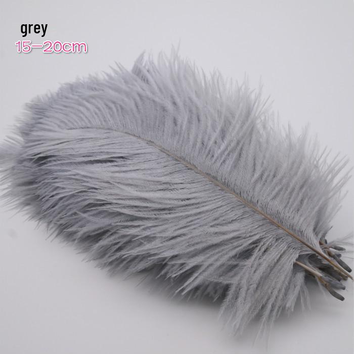 Large 15-20cm Ostrich Feathers for Wedding Arrangements and Stage Props