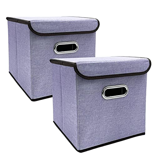 2 Pezzi Contenitori Pieghevoli con Coperchio 25*25cm Cestini Portaoggetti in Tessuto di Lino Lavabili Scatola Decorativa