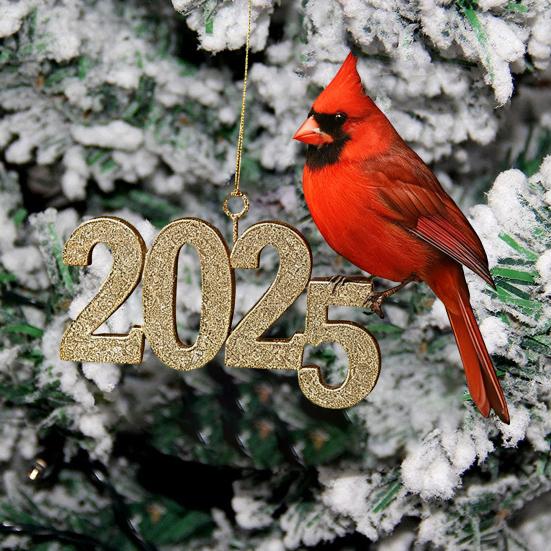 Red Bird Christmas Countdown 2025 24 Days Acrylic Bird Ornaments with Hooks Festive Holiday Decor for Tree & Shelf Unique Gift