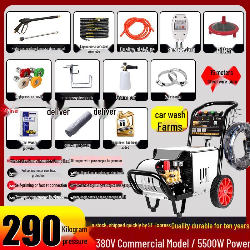 Black Cat Duke Industrial Pressure Washer CN plug (adapter included)