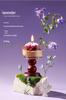 Elegant Aromatherapy Candle Gift Box - Flower Story for New Year, Valentine's Day, Birthdays & Weddings
