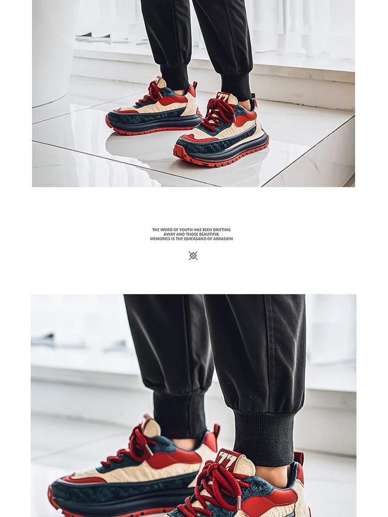 Men's Retro Color Block Dad Sneakers - Thick Sole, Height Increasing, Low-Top, Spring/Autumn Shoes for Students