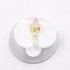 10Pcs 8cm Silk Butterfly Orchid Artificial Flower Heads for Home Room Wedding Decoration DIY Craft Wreath Gifts Accessories