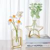 2024 Hydroponic Container 2Pcs/Set Nordic Style Geometric Exquisite Flower Vase Star Shape Metal Frame Glass Home Decoration