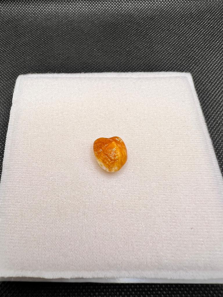 Natural Golden Yellow Crystal Stone – Polished Gem for Healing, Energy Balance, Home Decor Energy Crystal Energy Work & Home Display & Collection