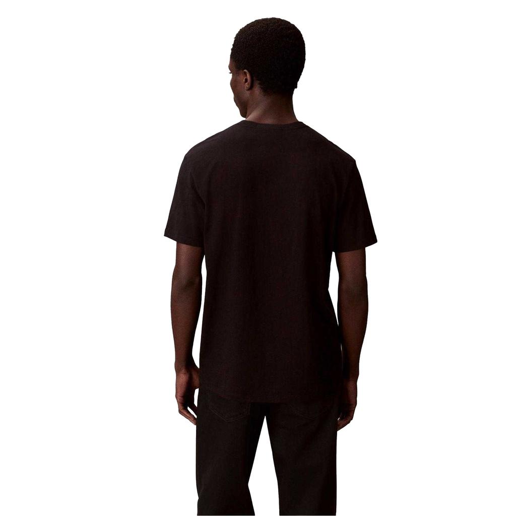 Calvin Klein Mens Micro Logo T-Shirt (Pack of 2)