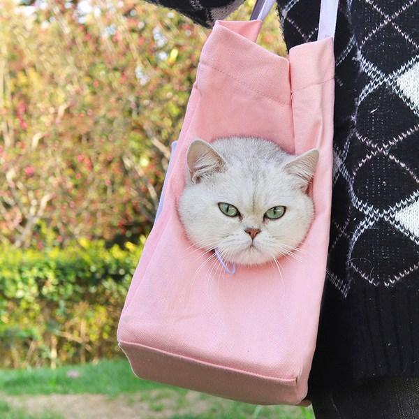 Pastel Pet Pet Color Matching Canvas Carrying Bag, Pink, FREE, 1 Piece, Korean Pet Shampoo