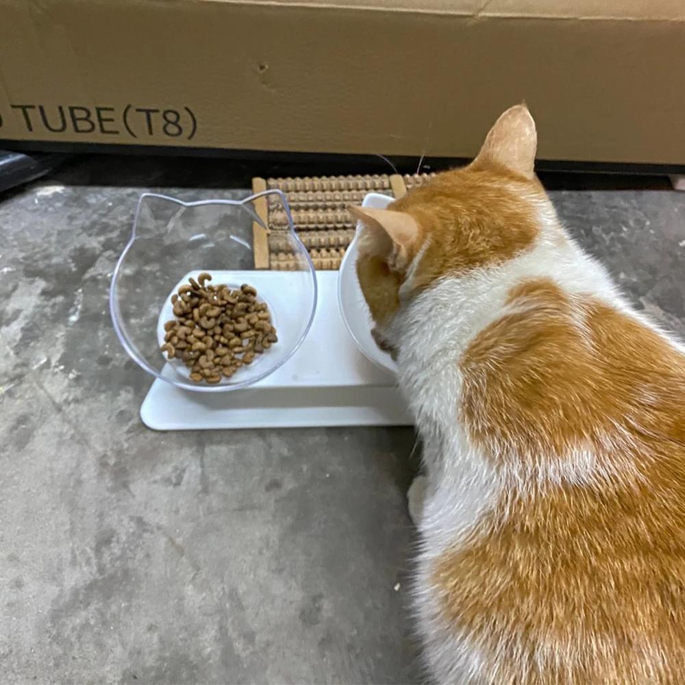 Bol Apă Mâncare Pisici Fund Înalt Înclinat Protector Gât Lavabil Cățel Animal de Companie Câine Mic Băut Hrănire Sphynx Persane Pisici Consumabile