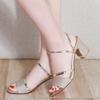 Women's Sandals Summer Wear New Middle Heel Fashion Two Wear Cool Slippers Versatile Thick Heel Cool Slippers