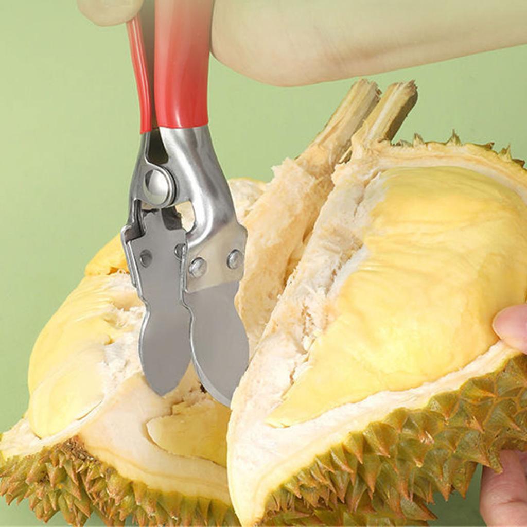 Durian Opener 430Stainless Steel Texture Practical and Sturdy Suitable for Home Fruit Shop for Effortless Fruit Peeling