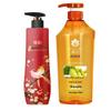 Agarwood Liquid Soap & Ginger Shampoo Bundle