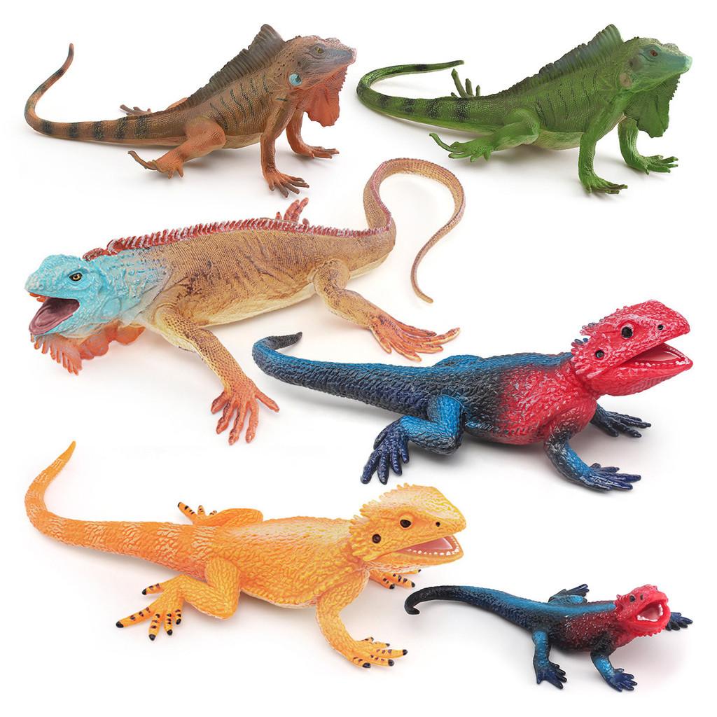 Amphibian Lizard And Reptile Model Pvc Static Figures For Kids Use Educational