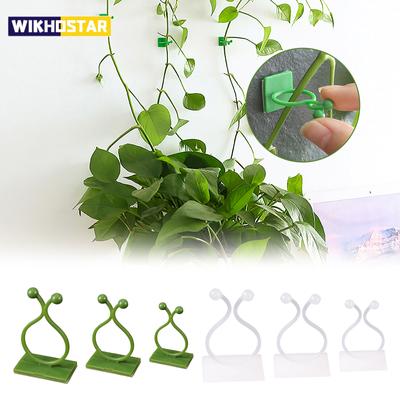 10PCS Plant Climbing Wall Fixture Clips Self-Adhesive Vine Buckle Hooks Sticky Rattan Clamp Fixators Invisible Fixing Devices