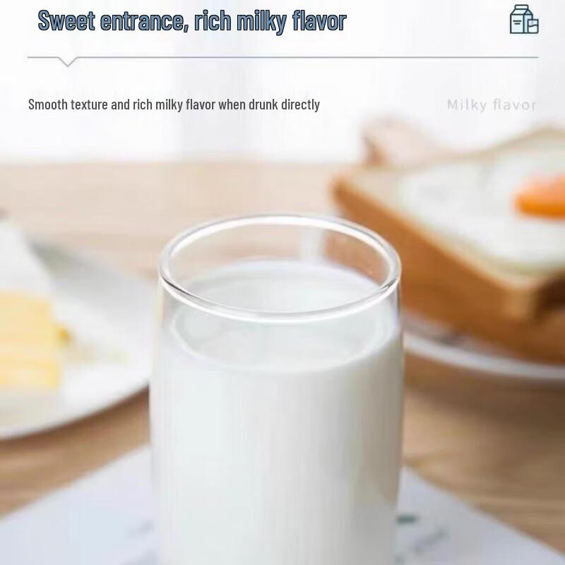Yili Pure Milk (12 x 1L Cartons)