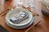 Staub Plate 24cm Deep Dish Ceramic Pottery Microwave Safe Japanese Ceramic Plate "Deep Campagne" [Authorized Product] 40508-029