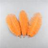 10Pcs Natural Dyed Fluffy Soft Ostrich Feather Handmade Diy Embroidery Feather Jewelry Making Dress Wedding Dress