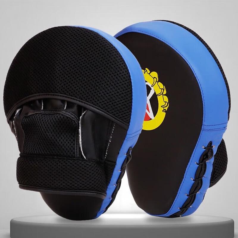 Longchan Martial Arts Focus Mitts