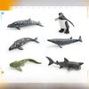 Shark Penguin Polar Bear Models With Pvc Material For Childrens Learning And Decor