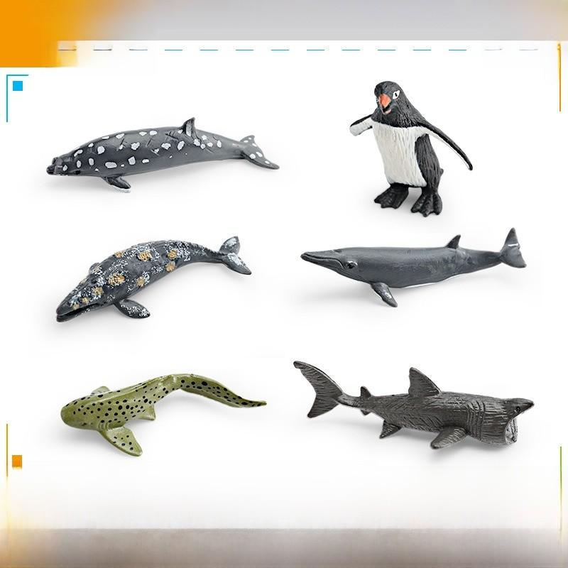 Shark Penguin Polar Bear Models With Pvc Material For Childrens Learning And Decor