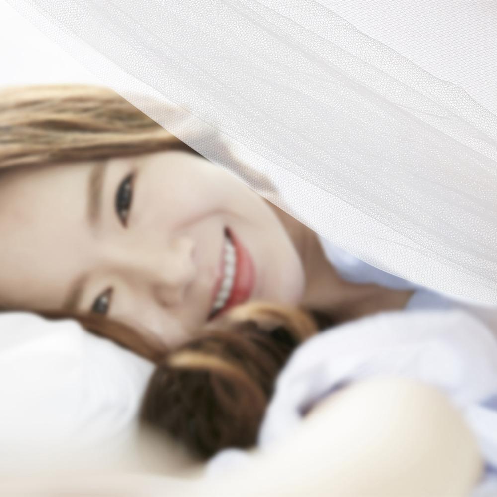 Single Door Insect Mesh Tent 4 Corners Mosquito Net Canopy  Outdoor Camping