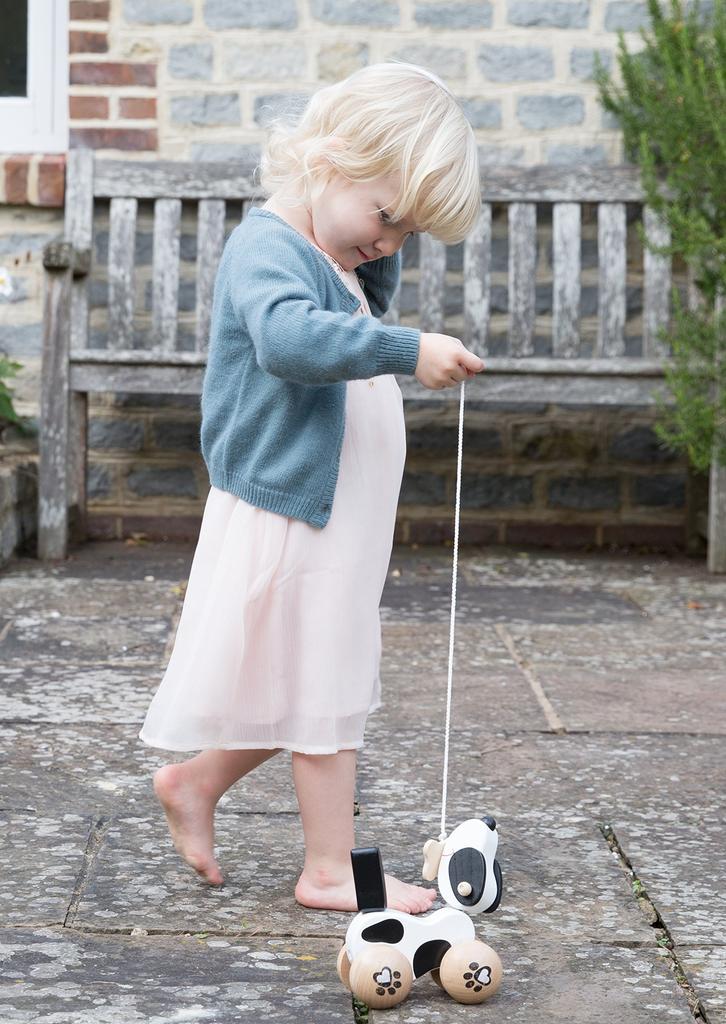 Classic World Pull Toy, Wooden Dog Walking Toy for Kids, Suitable for Girls and Boys (18 Months, ...