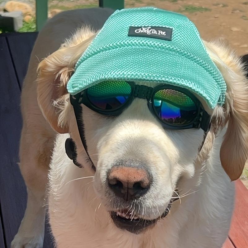 Breathable Mesh Baseball Cap for Dogs Featuring Ear Holes - a Trendy Light Green Hat Suitable for Golden Retrievers, Corgis
