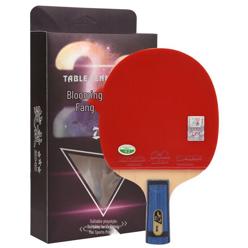 729 Table Tennis Racket with Double-Sided Inverted Rubber