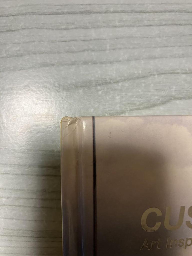 [USED] (Foreign Books)Customized: Art Inspired by Hot Rods