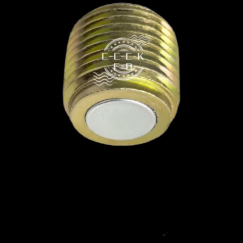 Jiefang CTM Axle Housing Oil Drain Magnetic Plug