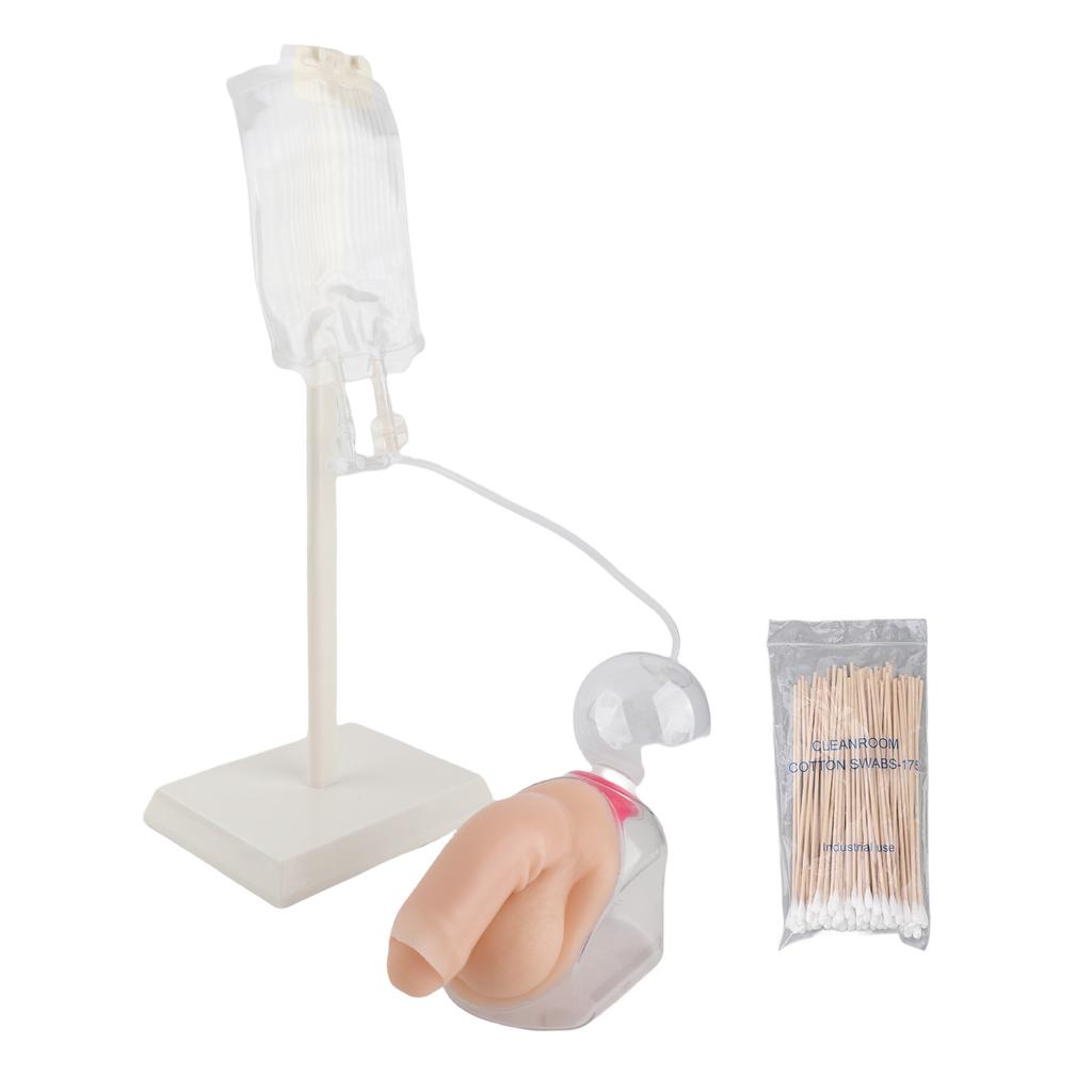 Male Urethral Catheterization Simulator Fluid Circulation System Urinary Catheterization Model for