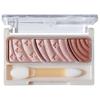 Lasting Gloss Lip - PK1 Pink