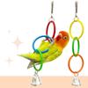 3 Pieces Colorful Rings Bird Stand Toy Swing With Chain and Rings Encouraging Play Activity For Pet Birds