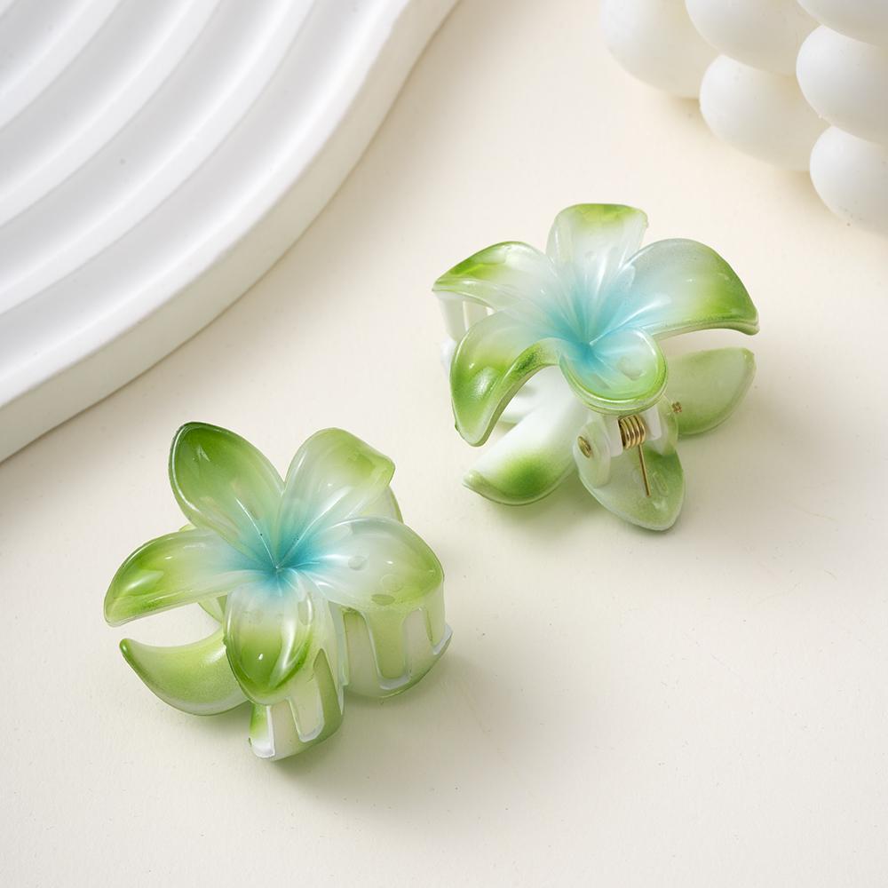

2 шт. заколка для волос в виде цветка плюмерии, маленькая заколка для волос, женская заколка-краб для волос, корейские зажимы для волос, аксессуары для волос, дропшиппинг