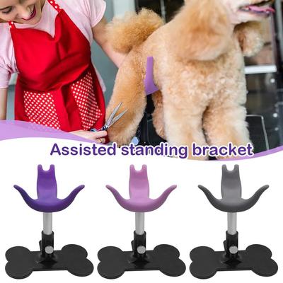 Hunde – Varer til hundepleje
