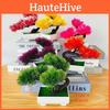 Miniature Bonsai Pine Tree With Faux Flowers For Office Desk And Indoor Garden Display