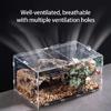 Caja Recinto de Acrílico para Mascotas Reptiles Con Vista Clara Terrario de Arañas Saltadoras Jaula para Anfibios Observación de Mascotas