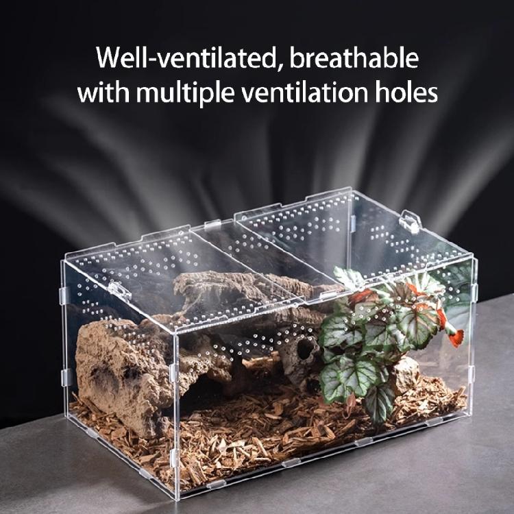 Caja Recinto de Acrílico para Mascotas Reptiles Con Vista Clara Terrario de Arañas Saltadoras Jaula para Anfibios Observación de Mascotas