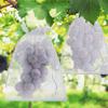 50/100Pcs Fruit Protection Netting Bags with Drawstring Reusable Grape Grow Bags Strawberry Cover Mesh Bags for Pest Control