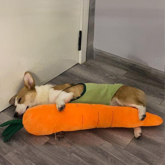Giant Carrot Dog Toy Plush Squeaky Dog Chew Toy with Crinkle Sound Interactive Soft Stuffed Teething Toy for Small Medium Large