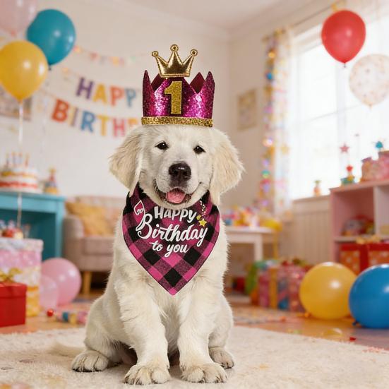 1 Set Pet Birthday Costume Dog Birthday Bandana Glitter Hat Age Numbers Sparkly Sequined Bow Tie Puppy Birthday Party