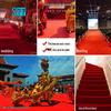 Shunxin Disposable Red Carpet Runner for Events and Weddings