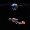 1Pc New Resin Floating Diver Fish Tank Floating Decoration Under Ornament Underwater Set Underwater World Small Floating Ball
