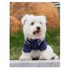 Autumn Winter Dog Outfit Functional Plaid Dog Cotton Coat Thickened Warm Dog Pet Clothes
