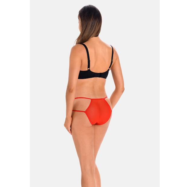 Classic Teyli Kelly Briefs