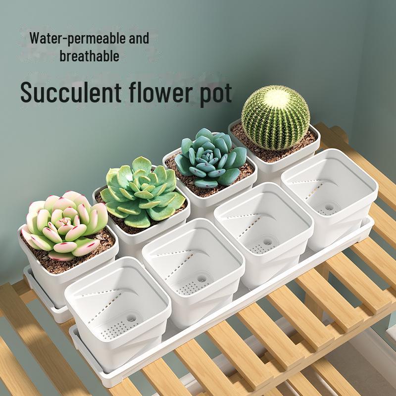 Exquisite Square Succulent Pots with Breathable Plastic Base for Office
