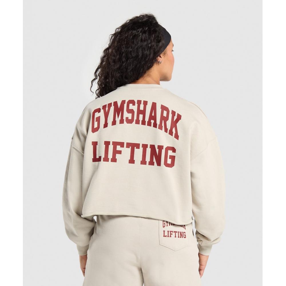 

GYMSHARK Толстовка миди с рисунком лифтинга Pebble Grey B1B9A GB7P XXS