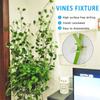10/50PCS Invisible Climbing Wall Sticky Hook Plant Clip Wall Vines Rattan Clamp Greenhouse Bracket