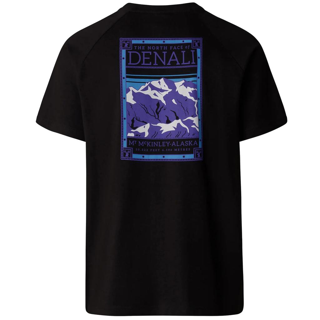 The North Face M North Face Tee, pánské černé tričko